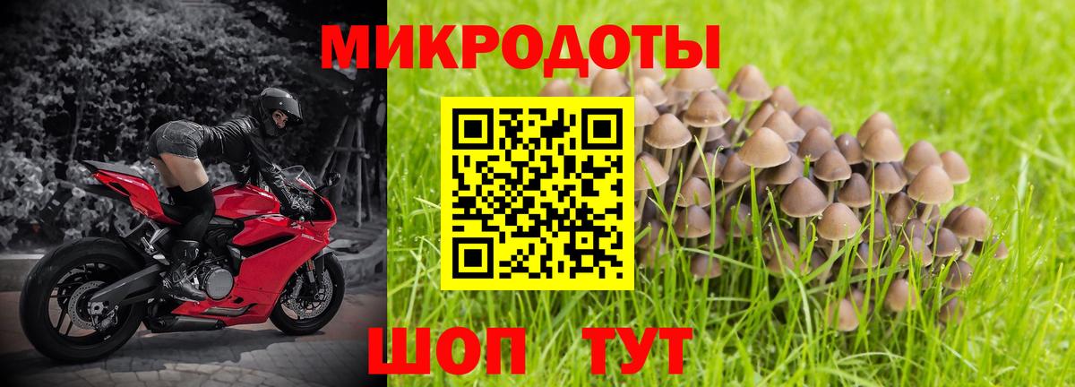 Псилоцибиновые грибы Magic Shrooms  Псилоцибиновые грибы мицелий  Кызыл  Вход с VPN 
