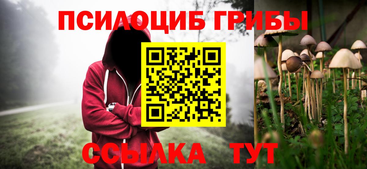 Псилоцибиновые грибы Psilocybe Кызыл